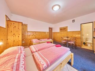 Apartment U Švýcarského dvora III by Interhome - 3