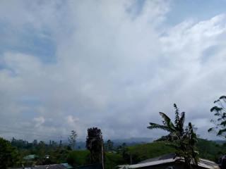 Argyle Rock Bungalow - 2