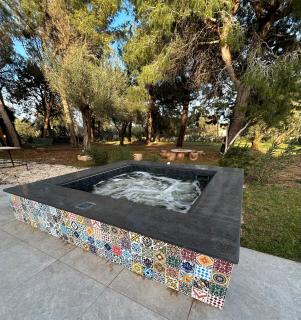 Villa Kalorama-private pool & Hot Tub - 8