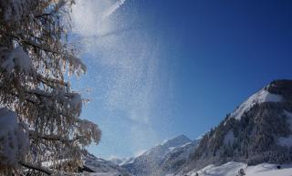 Ritterhof Apartment inkl Hohe Tauern Sommercard - 1