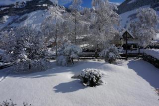 Ritterhof Apartment inkl Hohe Tauern Sommercard - 4