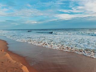 3BHK AC Villa with Attached Baths - Trivandrum - 5