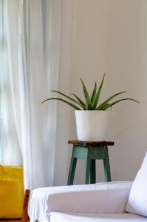 Casa da Onça, your paradise in Paradise! - 5