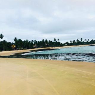 Casa da Onça, your paradise in Paradise! - 2