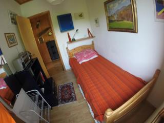 A nice view, panorama over Lago Maggiore - 5