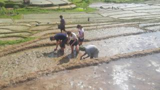 Rima Hostel Ruteng - 5