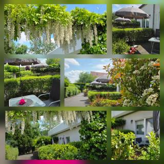 Alttolkewitzer Ferien- & Privatzimmer Mrosk Dresden - 2