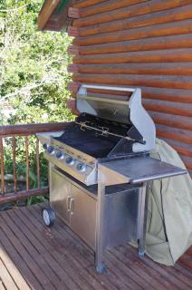 Tertia's Logcabin - Port Alfred - 1