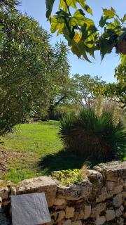 Une pause au milieu des bois - 2