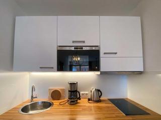 Lachmöwe - Orth - 3