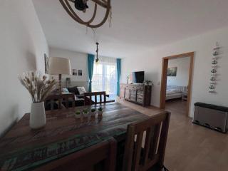 Lachmöwe - Orth - 6