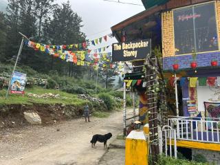 The Backpacker Storey - 6