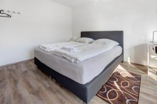 Hansa Nest - 5