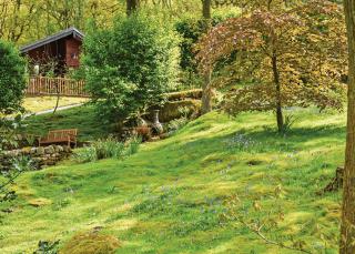 Springwood Lodges - 6