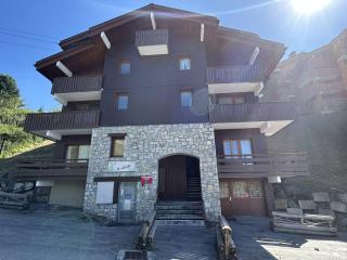 Appartement confortable avec équipements modernes, Les Allues-Méribel - FR-1-355-120 - 2
