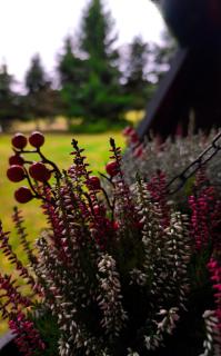 4Rest&Fun Krušné hory - 9