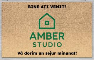 AMBER Studio - 9