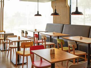 Ibis Culiacan - 2