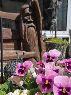 Alttolkewitzer Ferien- & Privatzimmer Mrosk Dresden - 3