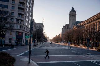 Newly Renovated Bloomingdale English Basement Apartment - 1