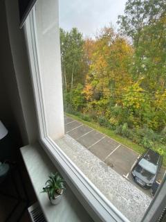 Stay in - Crimmitschau - 8