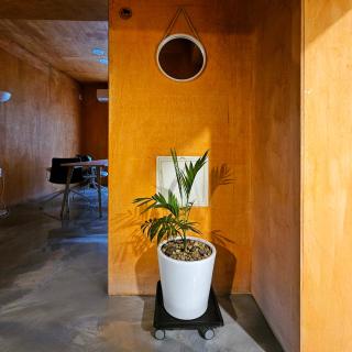 에어진주 AirJINJU - 7