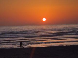 Coconut tree cafe Gokarna - 7