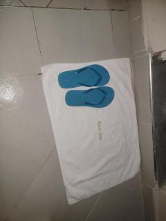 Nest Budget Studio - 3