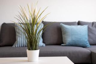 Home2Book Sunny Terrace Pool Costa Calma - 3