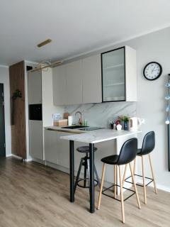 Silver Studio riverside Mostek 4 Gdańsk - 8