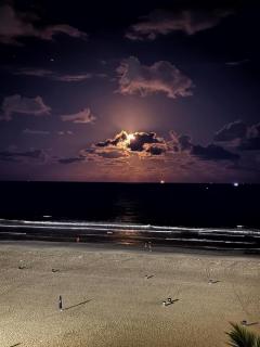 Amplo apê beira mar com vista em BC - 8