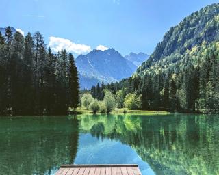 Cassa Midas by the forest - Zgornje Jezersko - 9