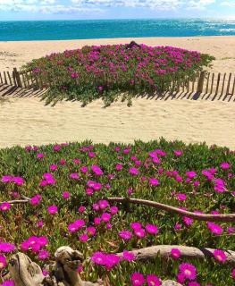 La Plage maison de plage à Port Leucate - 9