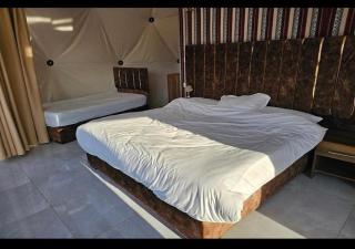 Go wadi rum - 1