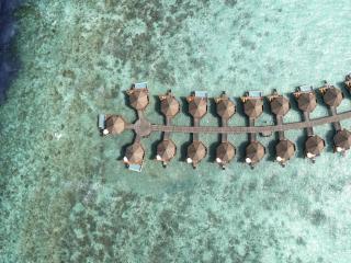 Mercure Maldives Kooddoo - Adults - Only Escape - 50 percent off Transfers - 7