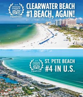 Beach Side Beauty with amazing Pool! - 7