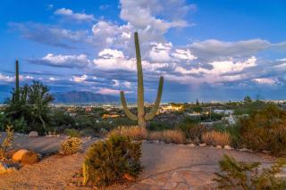 360 Mtn Views Bird Watching Fireplace Patio - 5
