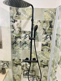 La saveur Tropicale-Proche centre ville-Aéroport - 9