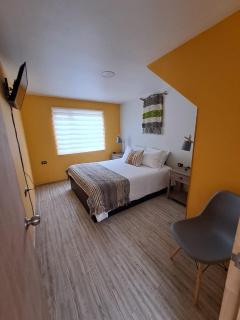 Liwen 2 Depto - Castro - 4