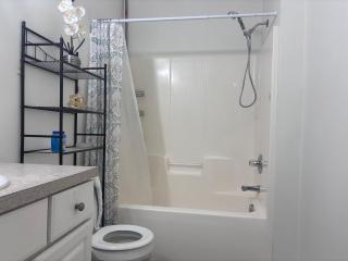 Peaceful 3-bedroom house with AC in charming Columbia - 6