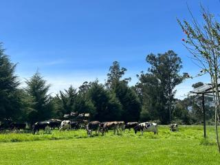 Loft Del Fundo Del Abuelo - 6