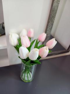 Central en-suite room, WIFI, Kitchen and Laundry Access - 1