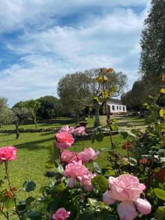 Casa Bali Costa Brava - 5