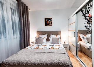 Luxury Riverside Apartment Băile Herculane - 2