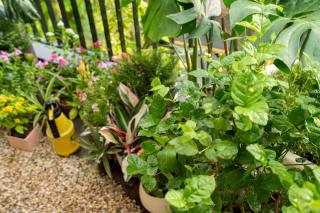 Leng Viethome x Vuinest - Ecopark apartment - 6