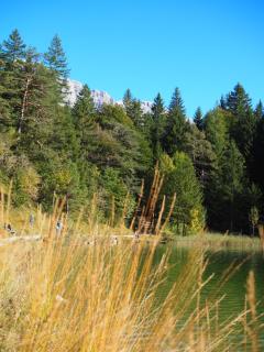 Karls Design Apartments Mittenwald - 2