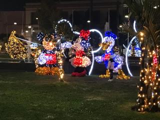 Sky and Green Luxury Apartament - 2