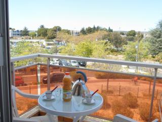 Studio climatisé, proche Thermes, animaux admis - FR-1-503-87 - 1