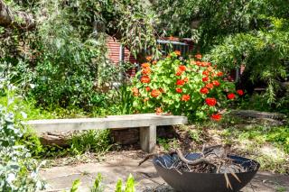 Dover Cottage - Aldinga Beach - 7