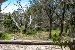 Dover Cottage - Aldinga Beach - 9